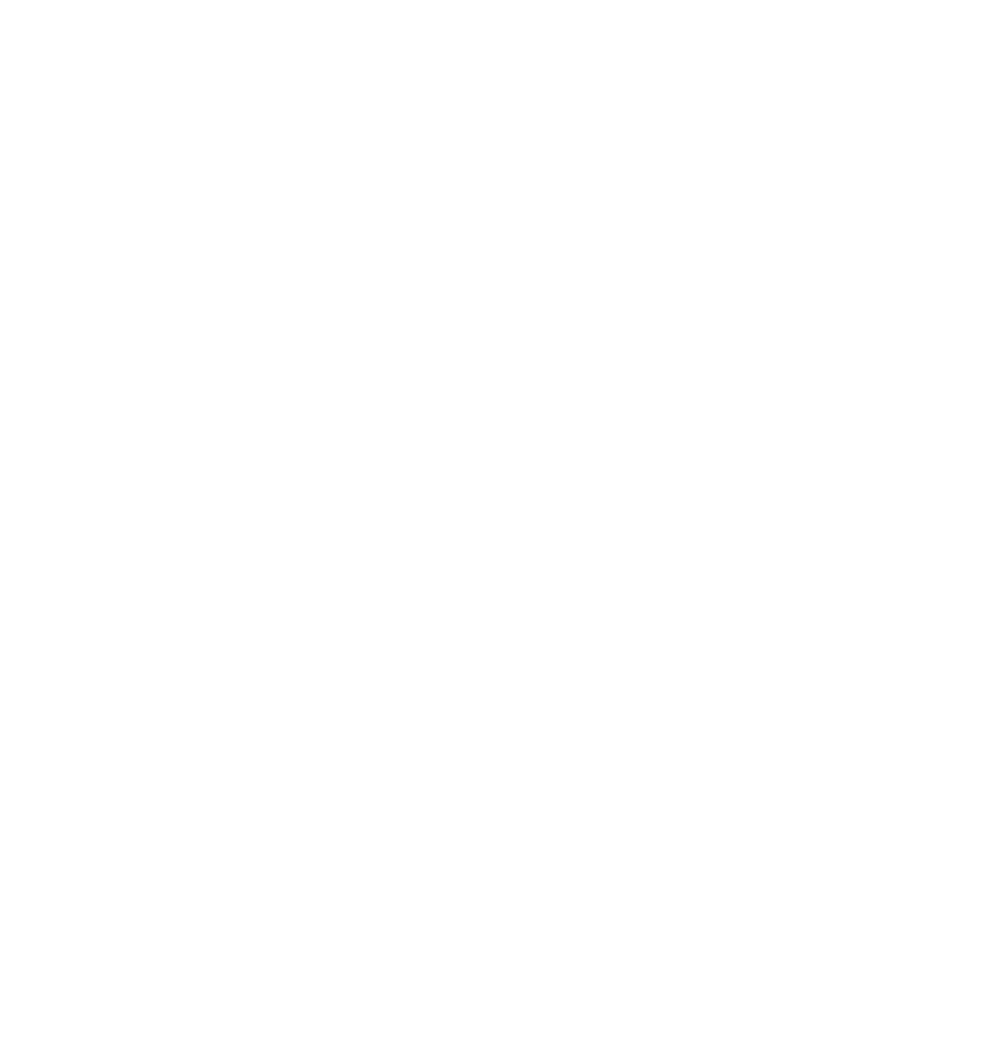 Skin Cancer Foundation Logo copy